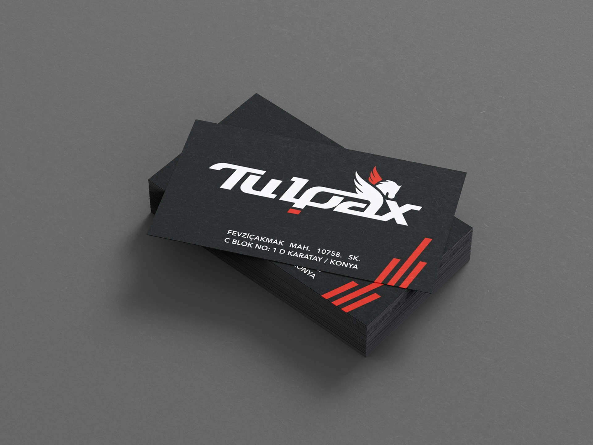 tulpax slide 9